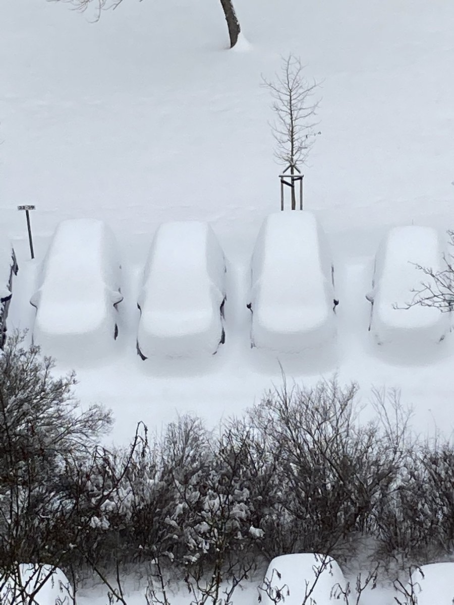 Wenn ich mir doch nur einmal merken würde, wo ich geparkt habe😩