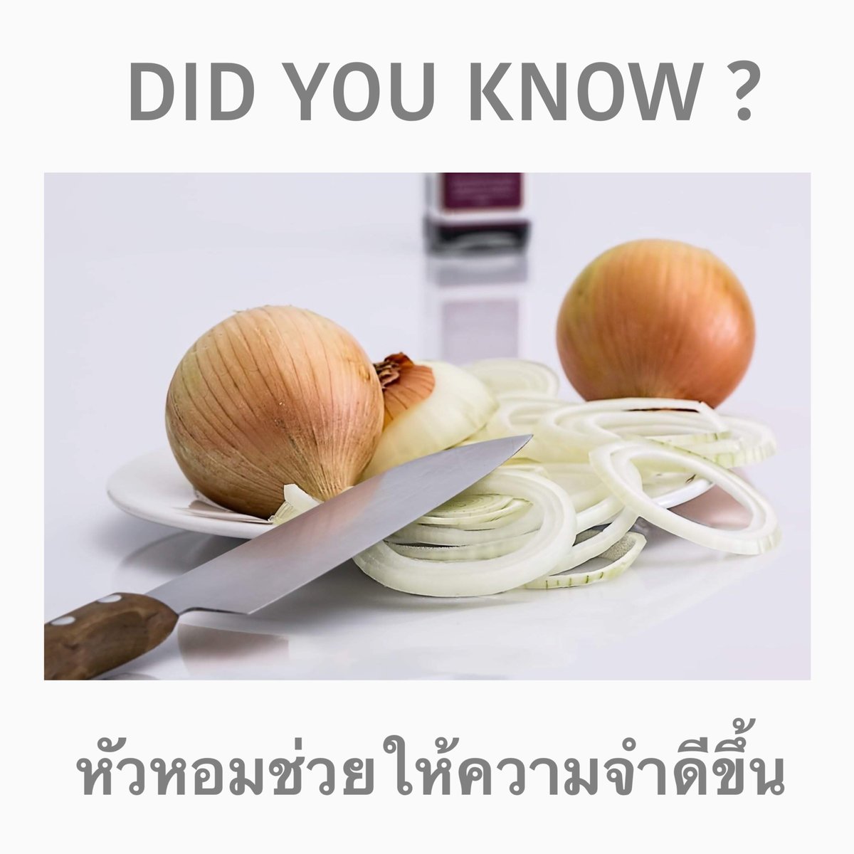 ChangwonExpress's tweet photo. Did you know ? 

ไม่ได้ทำให้ร้องไห้อย่างเดียวนะ หัวหอมยังสามารถทำให้ความจำดีขึ้นได้อีกด้วย มีผสมในซอสกิมจิของเราน้าาา 

หาซื้อได้ที่ Tops Supermarket หรือสั่ง Grab Mart ค่าส่งเริ่มต้นเพียง 1 บาท >> https://t.co/Gn6iIYl2L2

#Kimchi #delivery #อร่อยบอกต่อ #กิมจิ https://t.co/oXpmqdqoGy