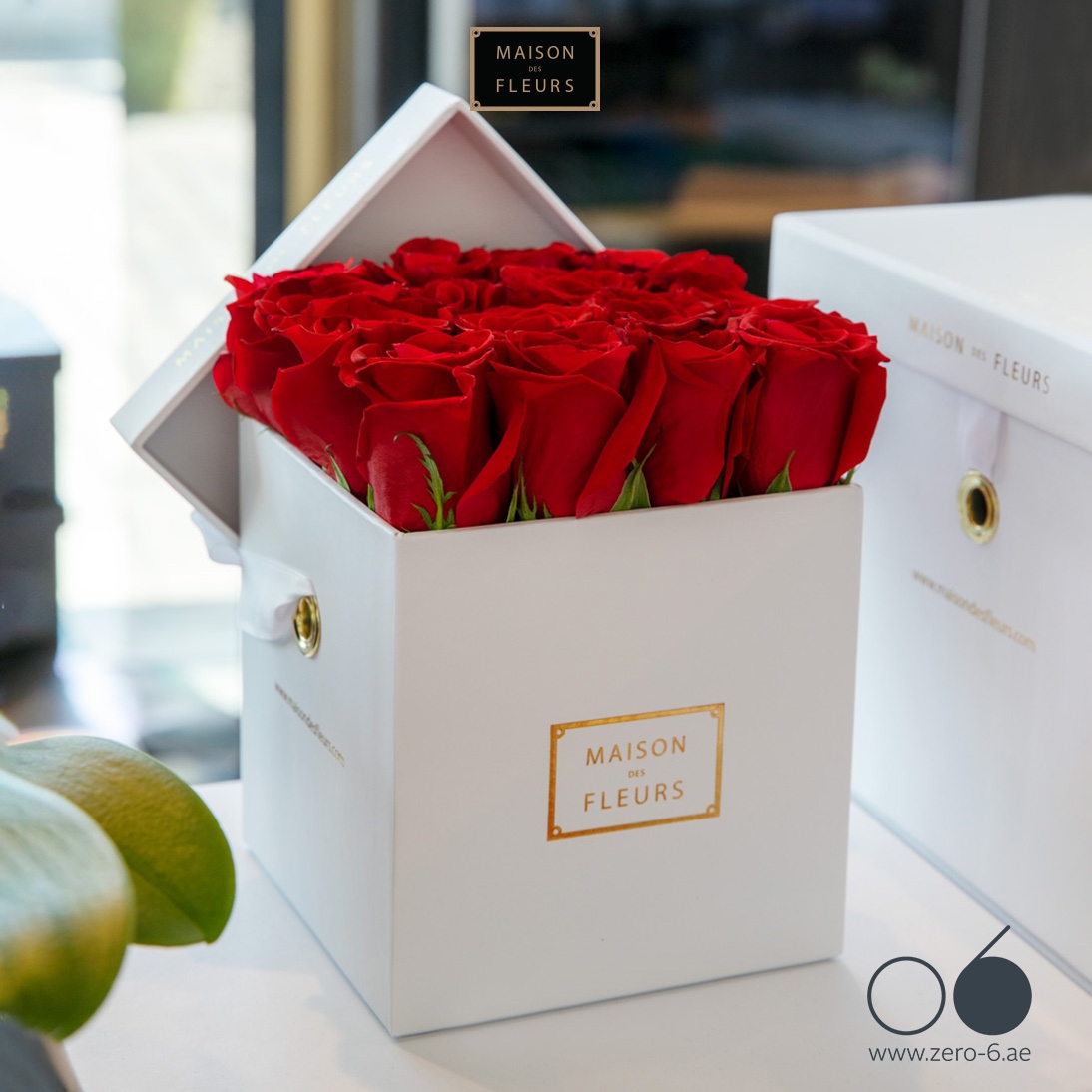 Zero6mall's tweet photo. Are you excited for Valentine’s Day ❤️😍!?
Visit Maison des Fleurs at 06 Mall Sharjah and discover the Valentine’s collection!
Say “I Love You” with this elegant red roses box 🌹🌹🌹

#zero6 #zero6mall #mall #sharjah #uae #uaecoolestwinter #valentine #love https://t.co/8IhTo3lYbV