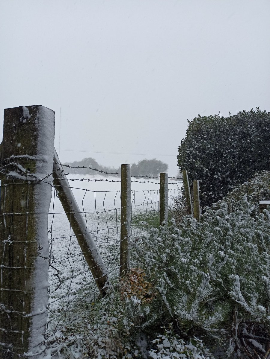 tadeusz3030's tweet photo. Lovely scenes on the Roman Road #dover #snow @bbcweather @SimonJonesNews @bbcsoutheast https://t.co/qV7nmCRmCB