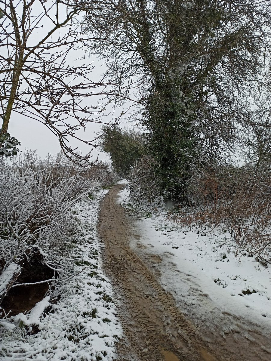 tadeusz3030's tweet photo. Lovely scenes on the Roman Road #dover #snow @bbcweather @SimonJonesNews @bbcsoutheast https://t.co/qV7nmCRmCB