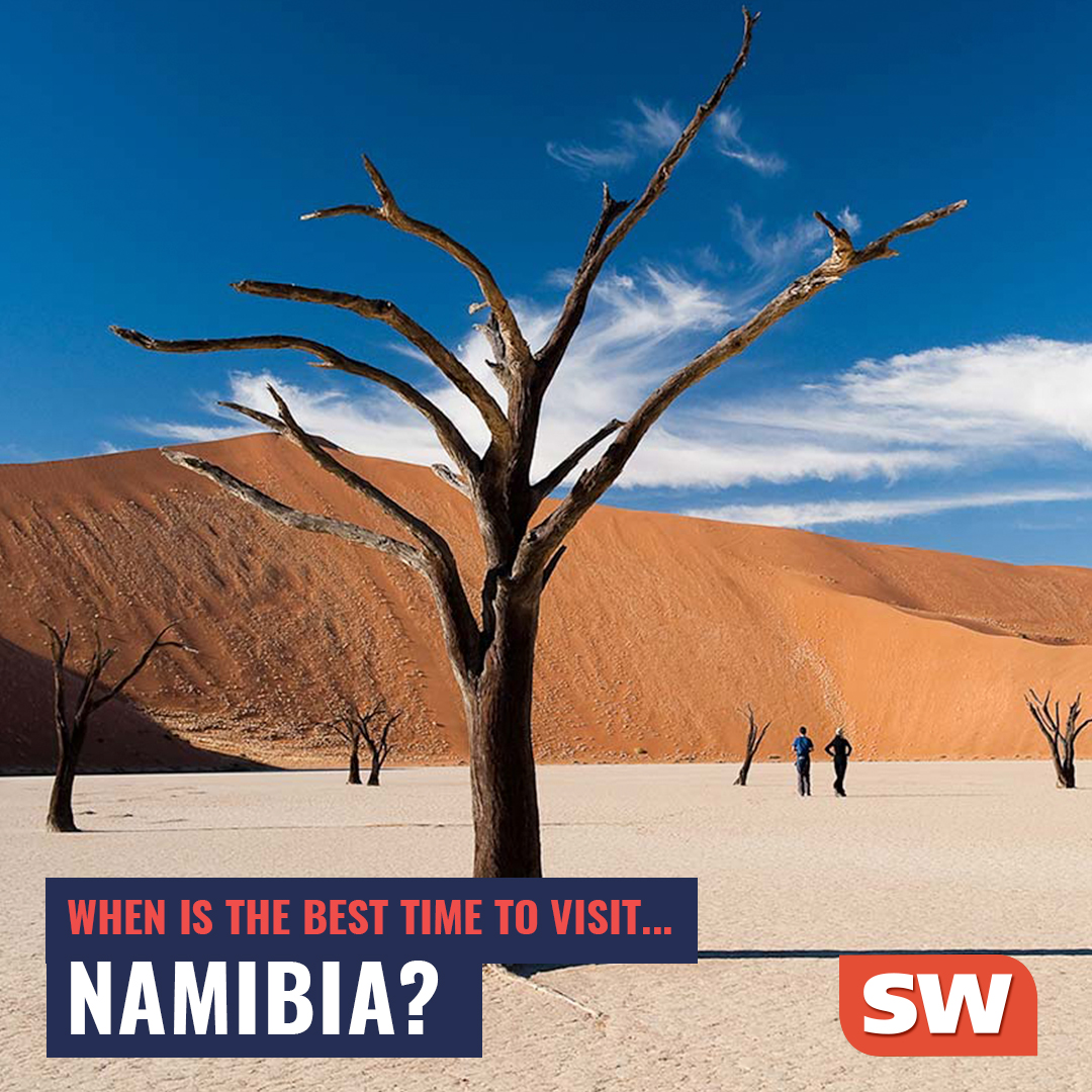 SW Africa tweet media