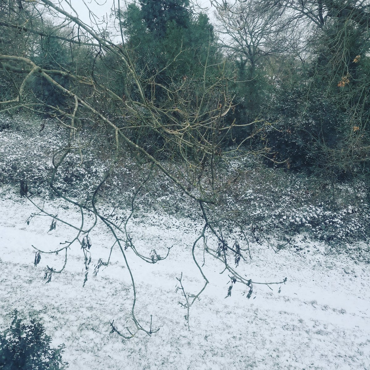 MrHolmesPrimary's tweet photo. Classroom for today. Not expecting many children to be online unfortunately. I can't really blame them though ❄️🌨️
#BeastFromTheEast #SnowGo #IceToSeeYou #RemoteLearning https://t.co/gW89txVbec