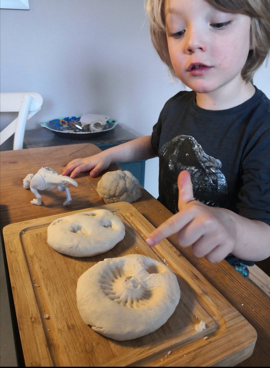 Lisa Savage tweet media