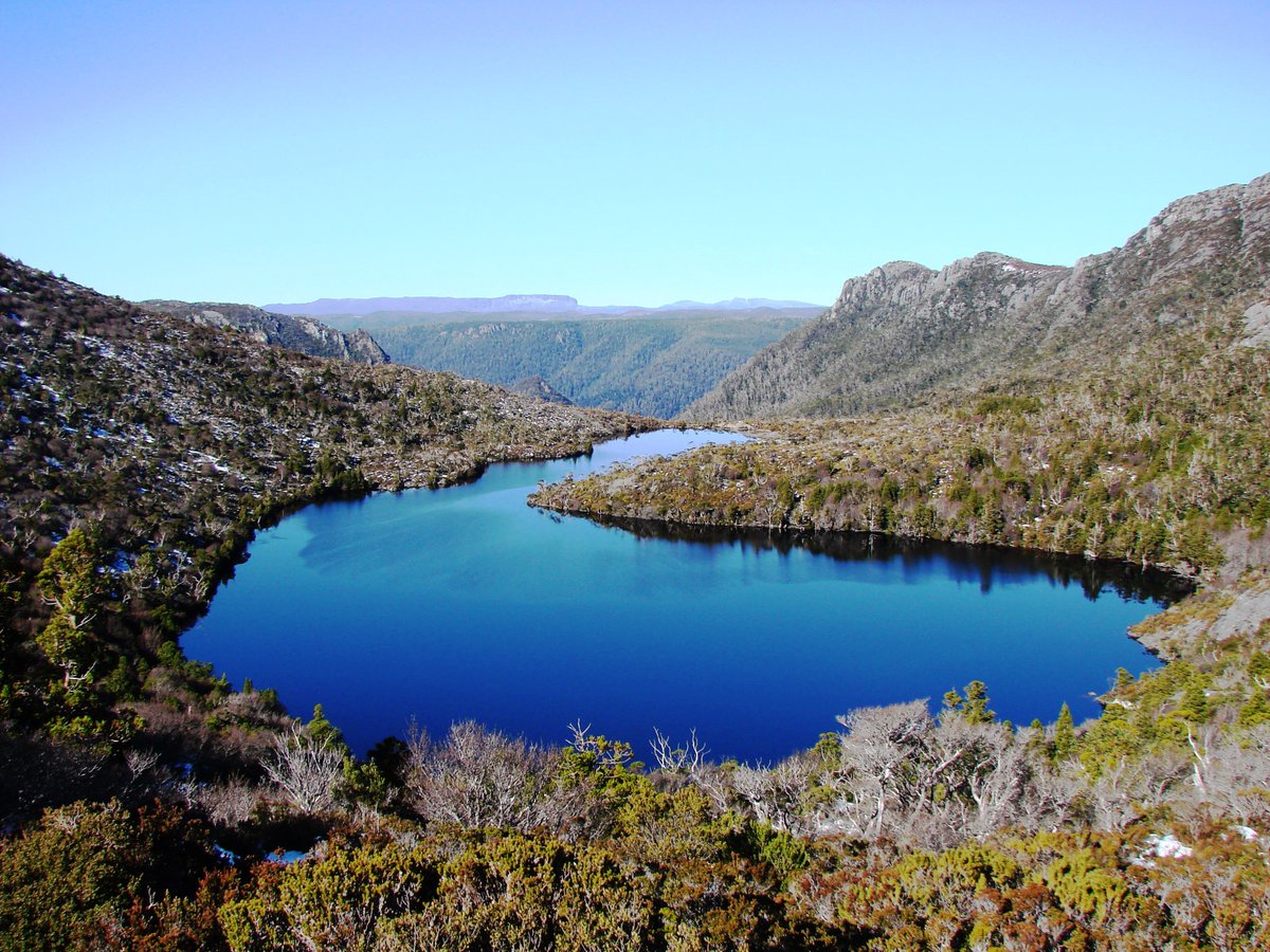  #Thylacines surviving to the 1960s is very probable. And there was a  #thylacine sighting in 1982 that was so plausible the Tasmanian government and WWF launched an (unsuccessful) expedition to follow it up. It *could* have been based on a lie, but...