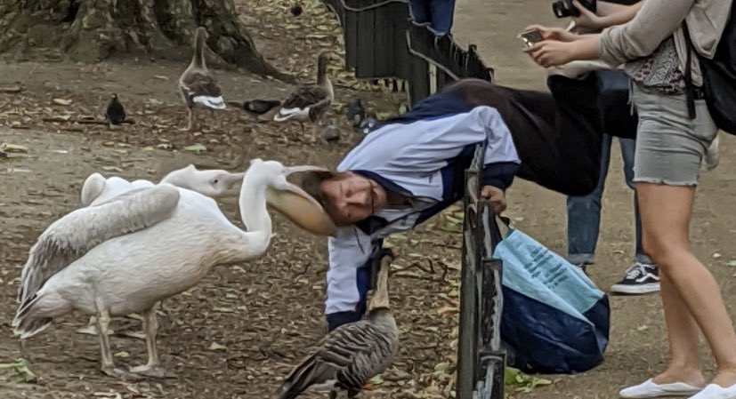 Get ‘hands on’ with our animals when you purchase our V.I.P access all areas zookeeper for a day package. 
Only at DICKS PETTING ZOO.