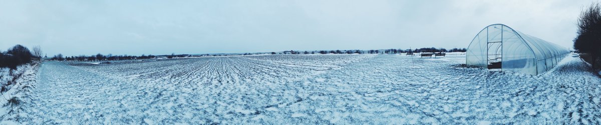 Ook hier wat #winterseplaatjes