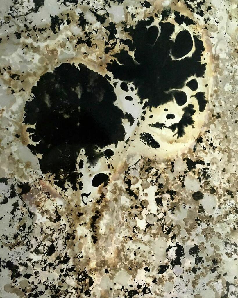 siwiakphoto's tweet image. Early Chemigram experiments, the Salad Series 2018. Made with salad leaves, salad dressing and other kitchen items. #chemigram #cameralessphotography #darkroom #womeninphotography #womenphotographers #womeninphoto instagr.am/p/CLBmjTenutB/