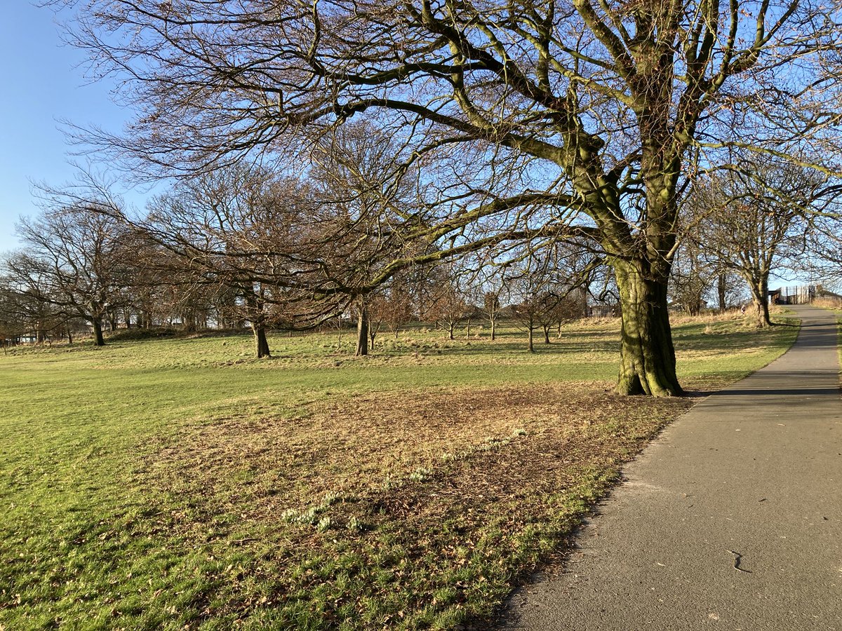 YakPatel tweet media