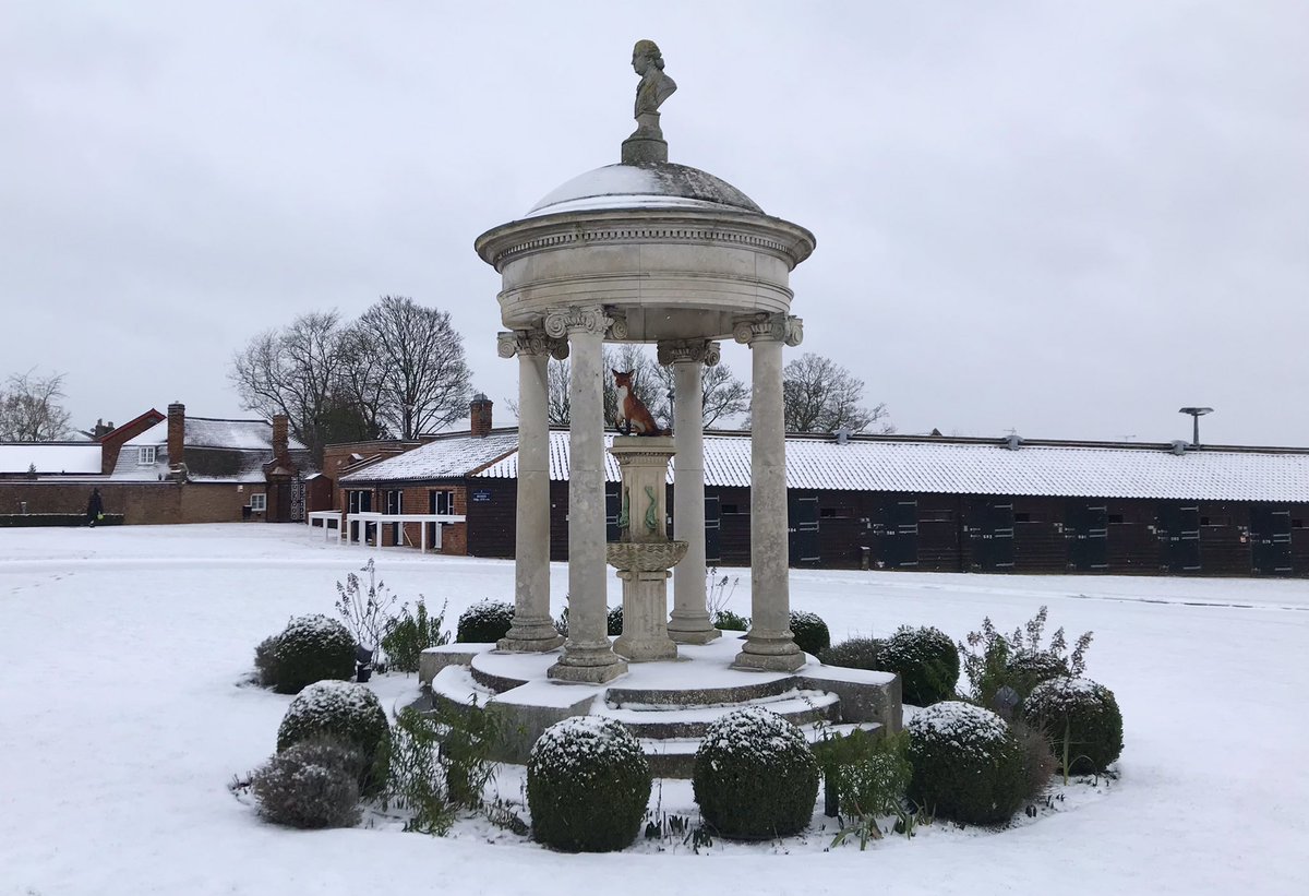 Snowy scene at Park Paddocks. 🦊 ❄️