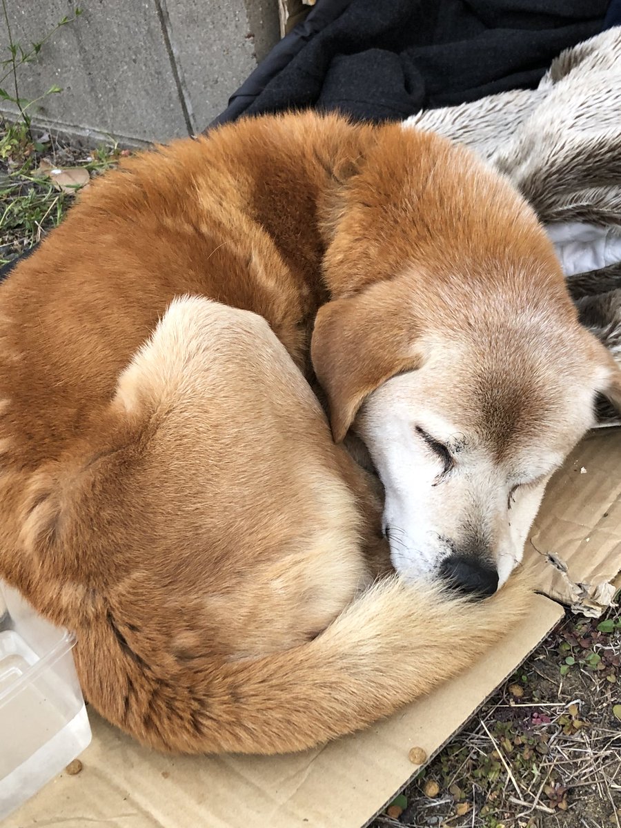 柊れな Dv66naeld4edujf Twitter