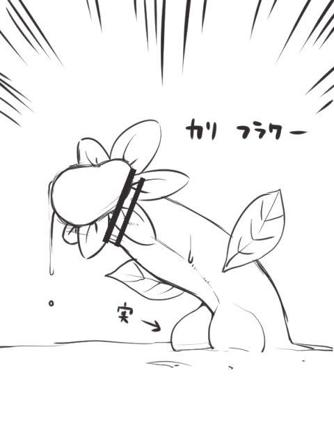 #これでフォロワーさん増えました 