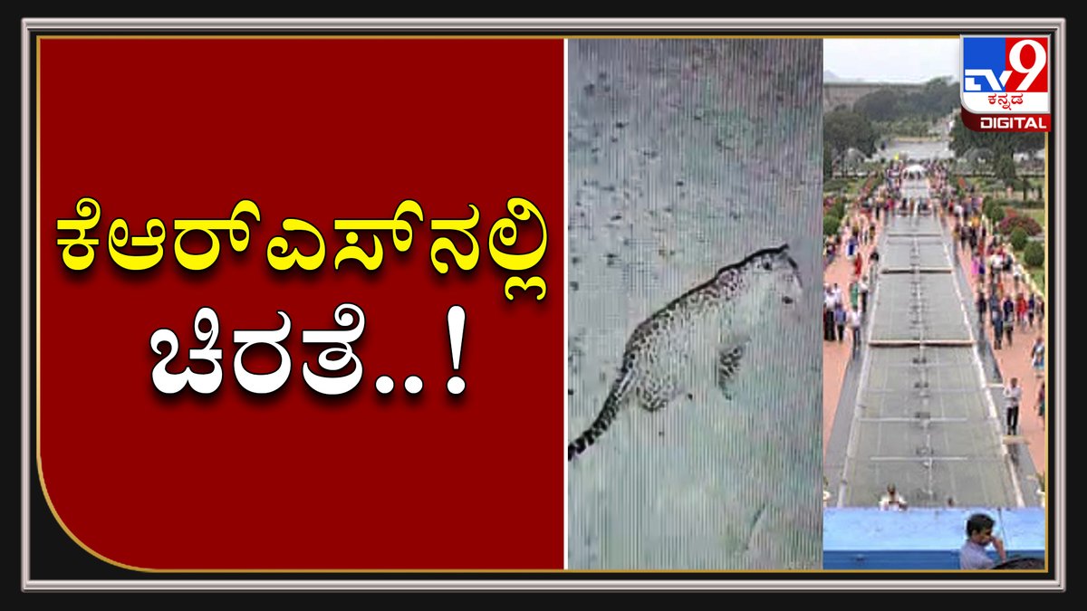 tv9kannada's tweet photo. Leopard Roaming In And Around KRS Dam Near Mysuru Has Caught On CCTV Camera
Video Link ►https://t.co/wRIhE1D7ZA
#TV9Kannada #Leopardroaming #KRSdam #Mandya #Mysuru #caughtoncctv #Kannadanews https://t.co/lfFOznZgpX