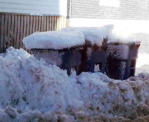 West Suffolk bin crews are out on their rounds today, collecting bins where they can get access and it is safe to do so.  If your bin is not emptied, please leave it out. We will try to get back when conditions and operations permit. Thank you and stay safe.