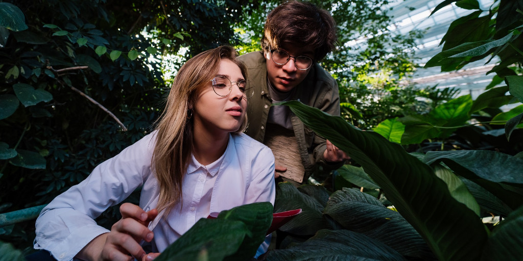 📣 Ajuts <a href="/Pro_Odisseu/">ODISSEU</a> per al retorn i la inserció dels joves en el medi rural
🎓Pràctiques remunerades per a perfils universitaris
🕔300 hores mín.
📅Presentació d'ofertes fins al 17/març i enviament de candidatures del 19/març fins al 19/abril
👉treballiaferssocials.gencat.cat/ca/detalls/Not…