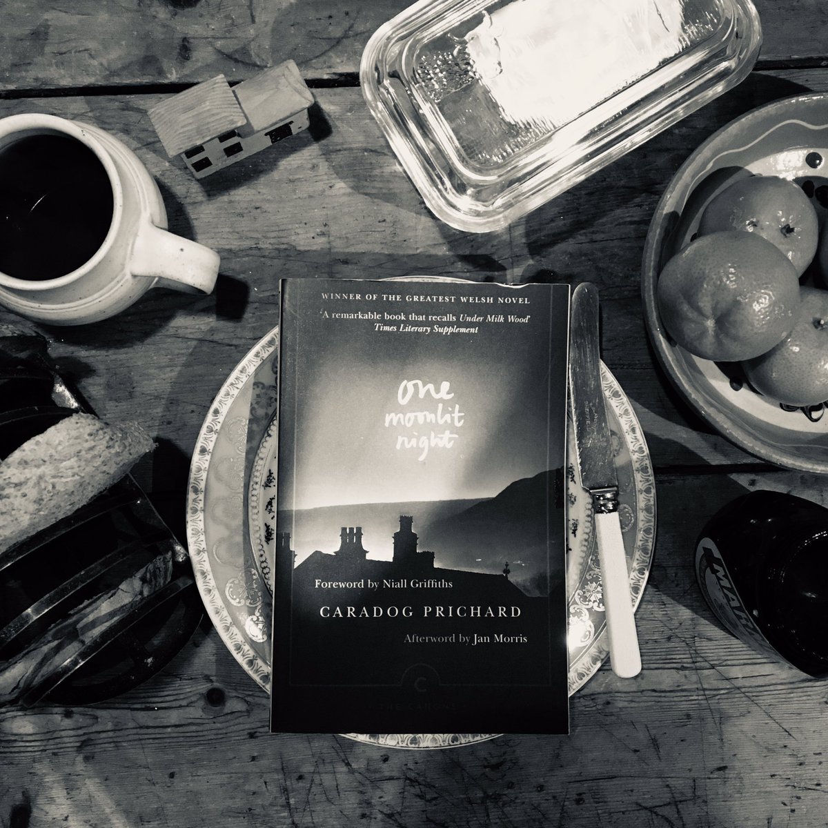 Oh my, this is good. A cross between Under Milk Wood and Lanny. Lyrical and sometimes mystical, its unnamed narrative goes out one moonlit night and recalls his past. The end is shadowy and shocking. Thanks <a href="/AlisonLayland/">Alison Layland 🏞🌍💚</a> for the rec. #clairesbooksatbreakfast Have you read it?