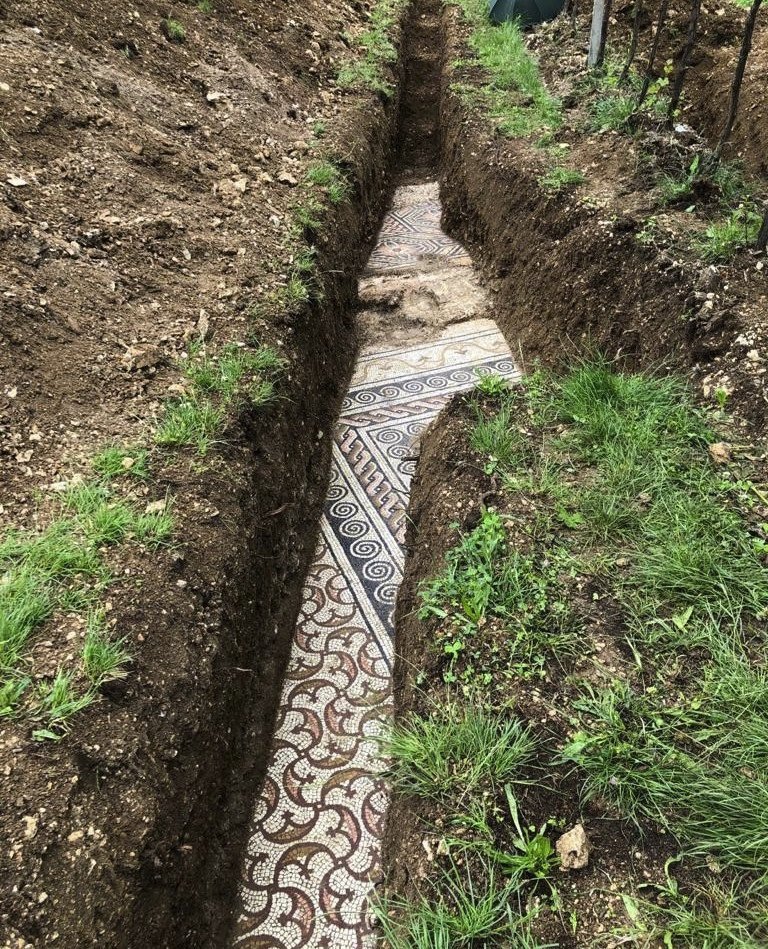 Estás tranquilamente trabajando en tu viñedo de Negrar di Valpolicella, Veneto, Italia, y... te salen 270 metros cuadrados de pavimentos de mosaico de una villa romana del siglo III.