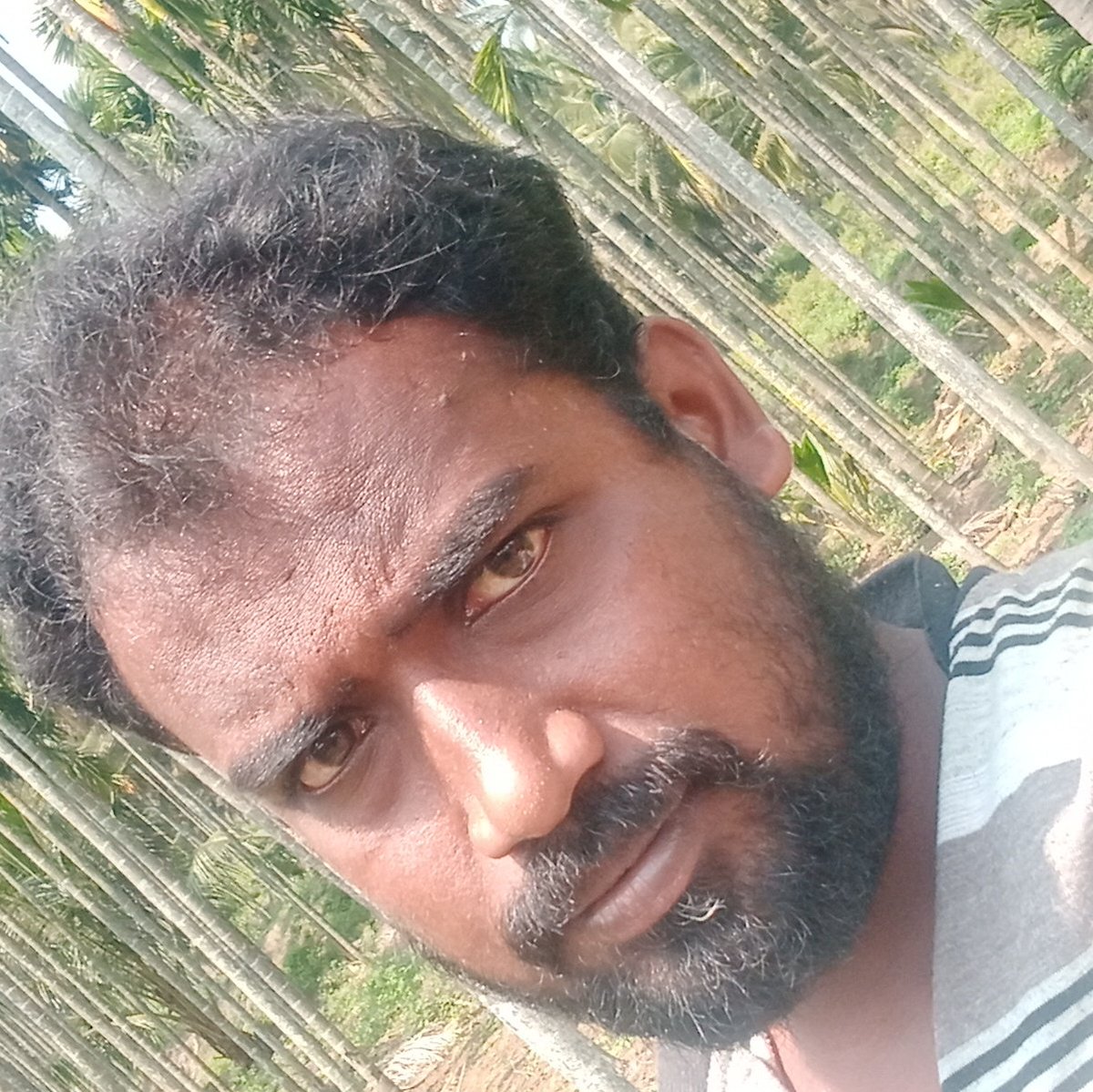 RajSubburam's tweet photo. #NewProfilePic https://t.co/kVB9j6h43U