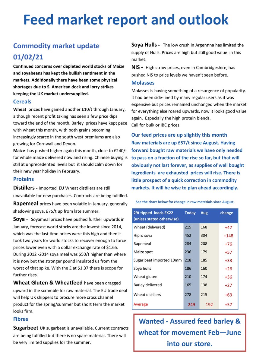 tamarmilling's tweet image. February Newsletter 2021