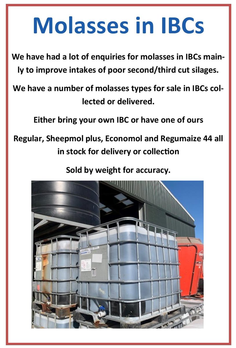 tamarmilling's tweet image. February Newsletter 2021