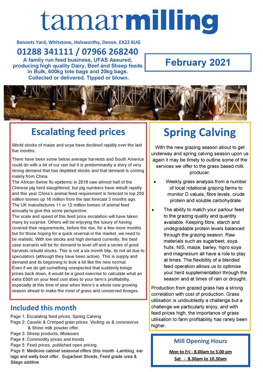 tamarmilling's tweet image. February Newsletter 2021