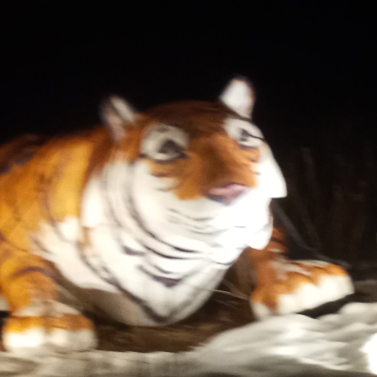 DrakeFowler16's tweet image. 