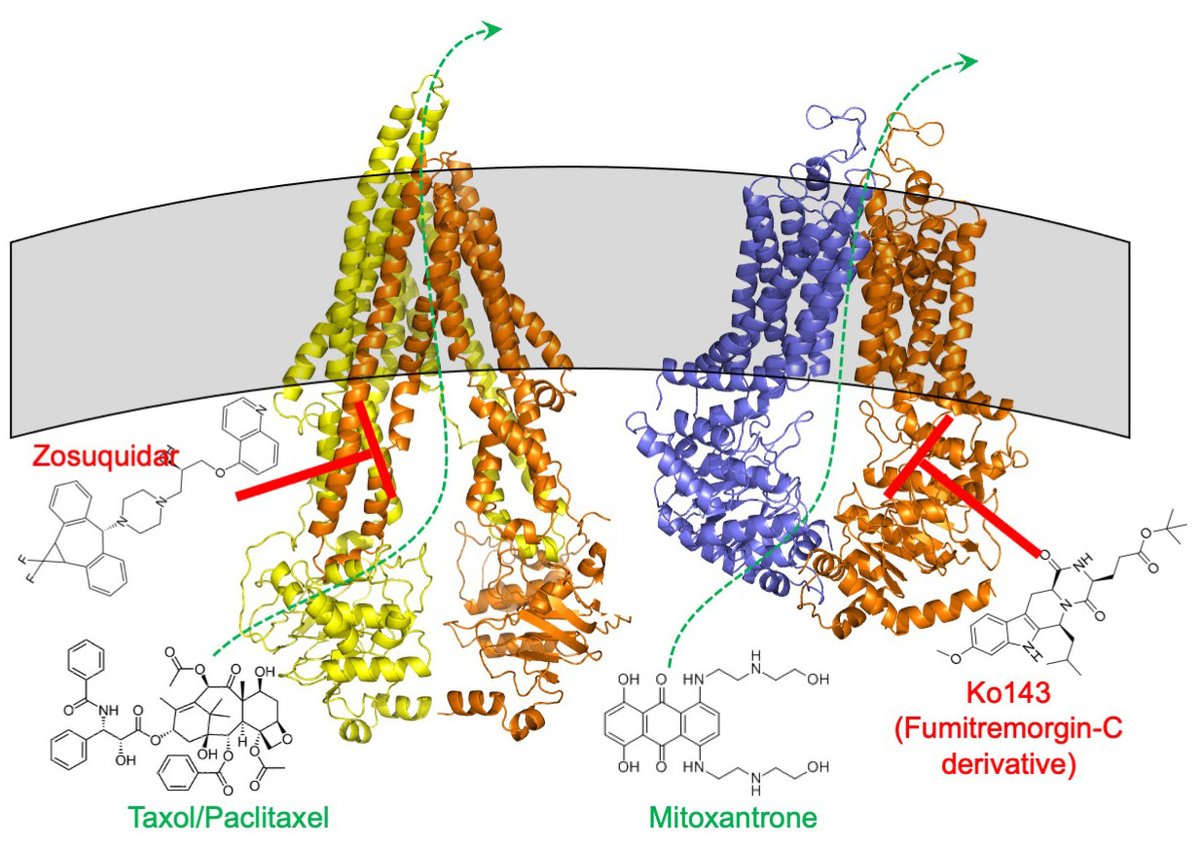 seegerlab photo