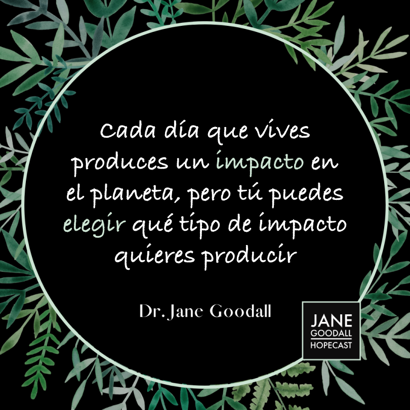 RaicesyBrotes's tweet photo. 👉La Dra. Jane nos recuerda en su podcast #TheHopecast que lo que hacemos cada un@ de nosotr@s en nuestro día a día marca la diferencia 💚🌎🌱

🎙Escucha los episodios en inglés en Spotify, Itunes y otras plataformas.

#JaneGoodall #Inspiración #MarcaLaDiferencia #ReduceTuHuella https://t.co/4IhpmcN4JC