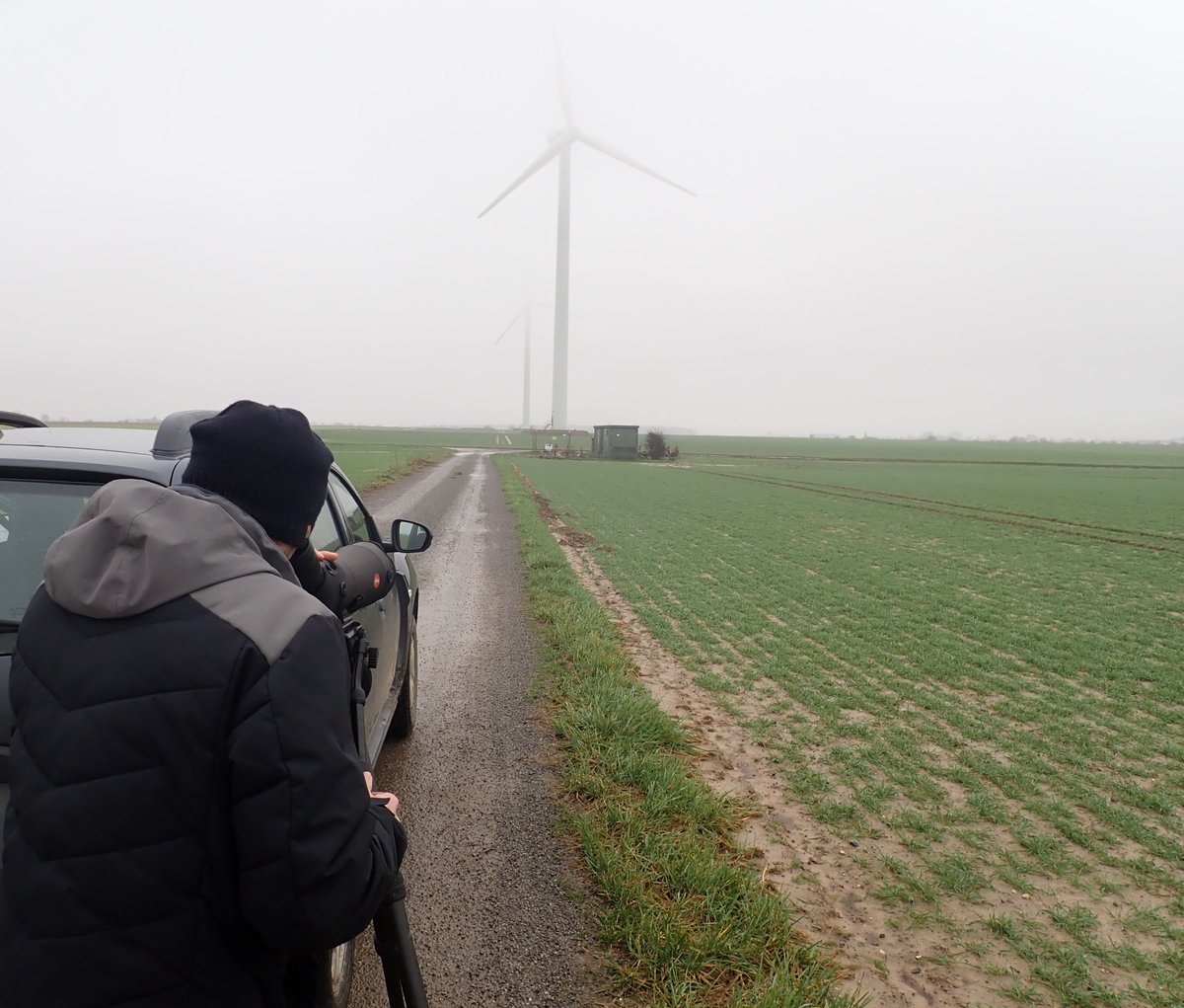 Notre chargé d’étude ornithologue, Sylvain, était à Vermandovillers pour prospecter un parc éolien dans le but de mesurer ses impacts sur les chauves-souris, les oiseaux de notre région ainsi que les oiseaux migrateurs. 🐦🦇