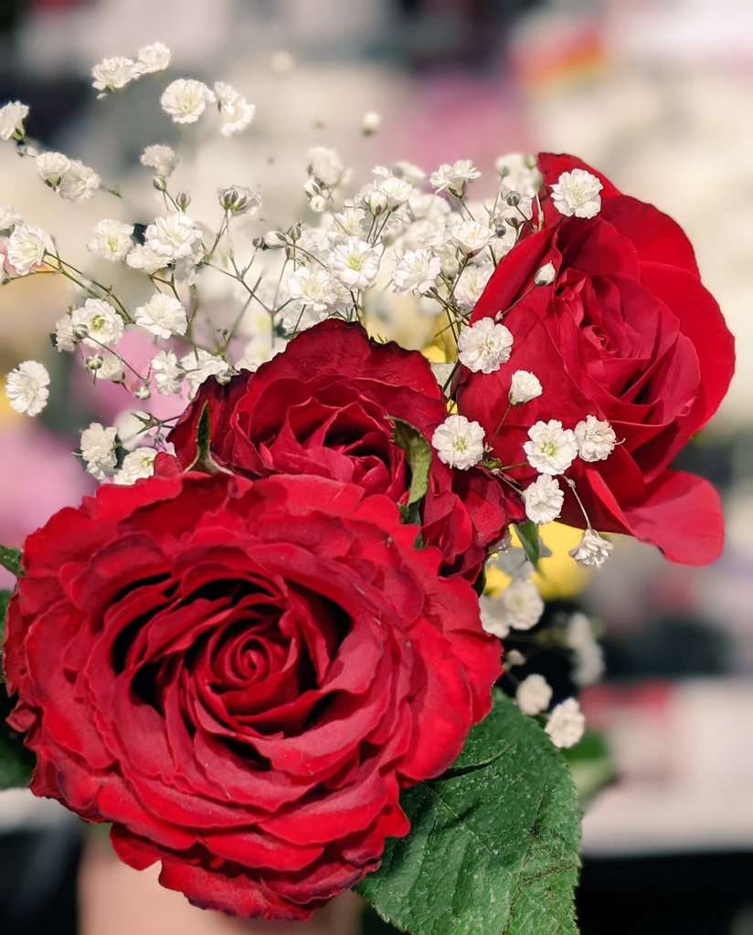 Uzivatel ベルク Belc Na Twitteru 世界では一番花が贈られる日がバレンタイン ベルクでも気軽に渡せるバラのブーケを税抜480円でご用意しております 3本のバラを大切な方へ 3本のバラの花言葉は愛してる T Co Tlbe42ad9f Twitter