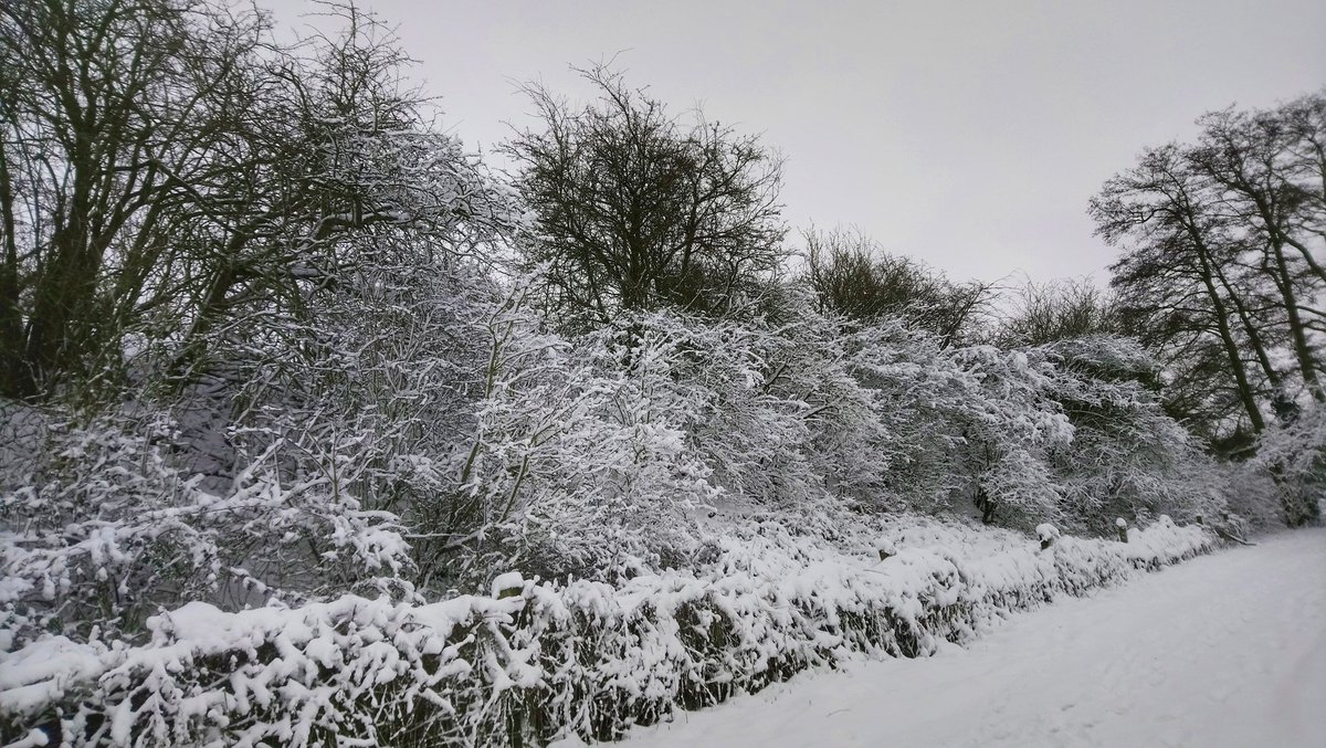 galleryantiques's tweet photo. This mornings #snowwalk on the millenium green, Blyth meadow etc
#snow #snowphotography #MilleniumGreen #blythmeadow #Halesworth #Suffolk https://t.co/oUfWtrpQZq
