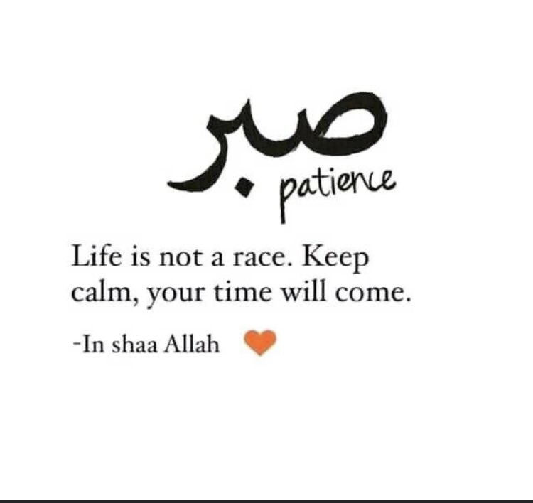 AfaqBhat8's tweet photo. https://t.co/MlLNtPyy8S