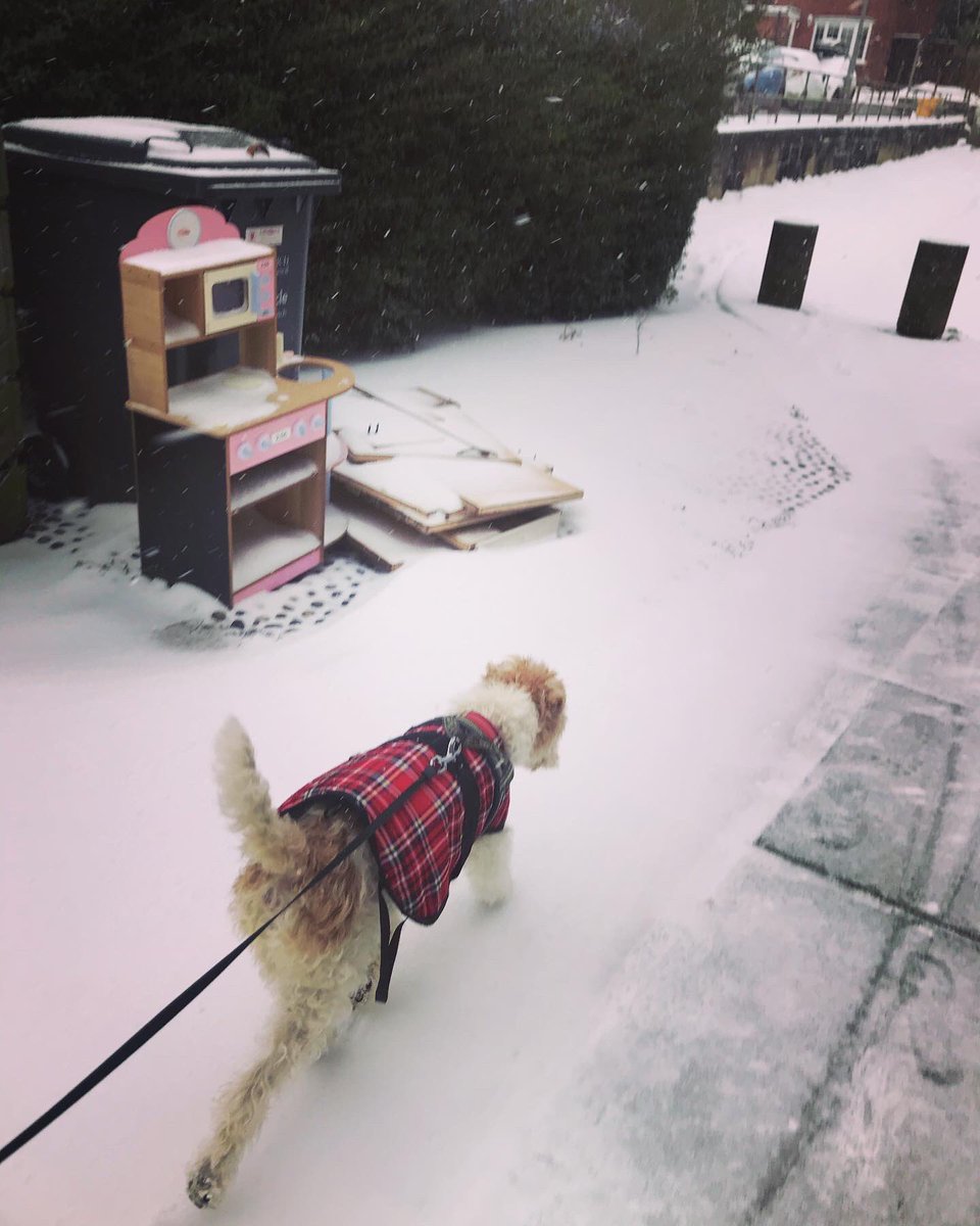 KillingBdesigns's tweet photo. We got it! Narnia has come to Norwich! ❄️🌨☃️ #Norwich #norwichlife #snowyday #snowmonday https://t.co/dULcsp4uD3