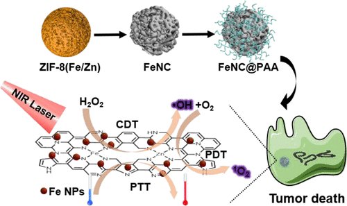 BioconjChem's tweet photo. #MOFs derivatives are not only used in #electronics but also in #biomedical applications! #Fe-N codoped #carbon #nanoparticles synthesized for #tumor #therapy. Let’s work on #chemodynamics, #photodynamics and #photothermal applications to cure. https://t.co/zAdD4P7YrN https://t.co/AJG0WPhV6z
