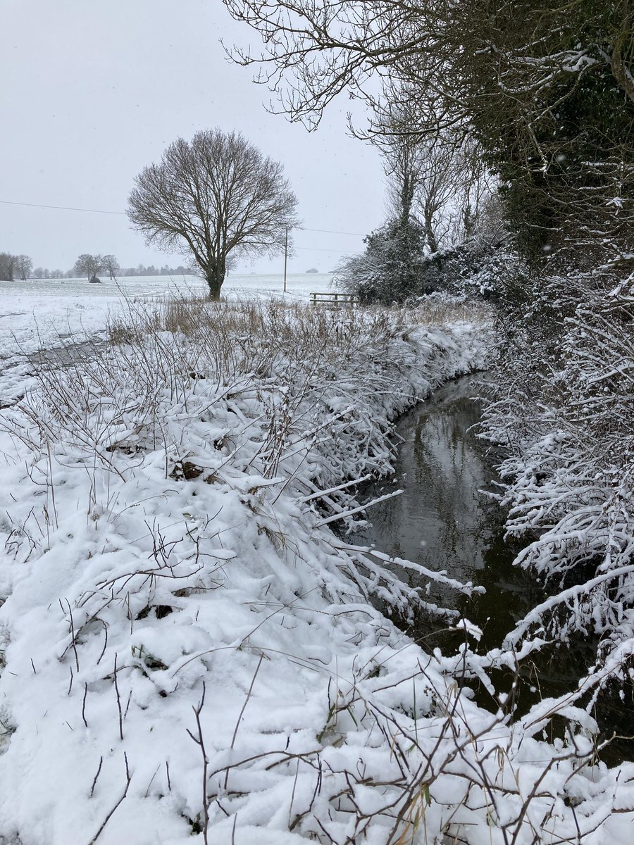 millarwest interiors tweet media