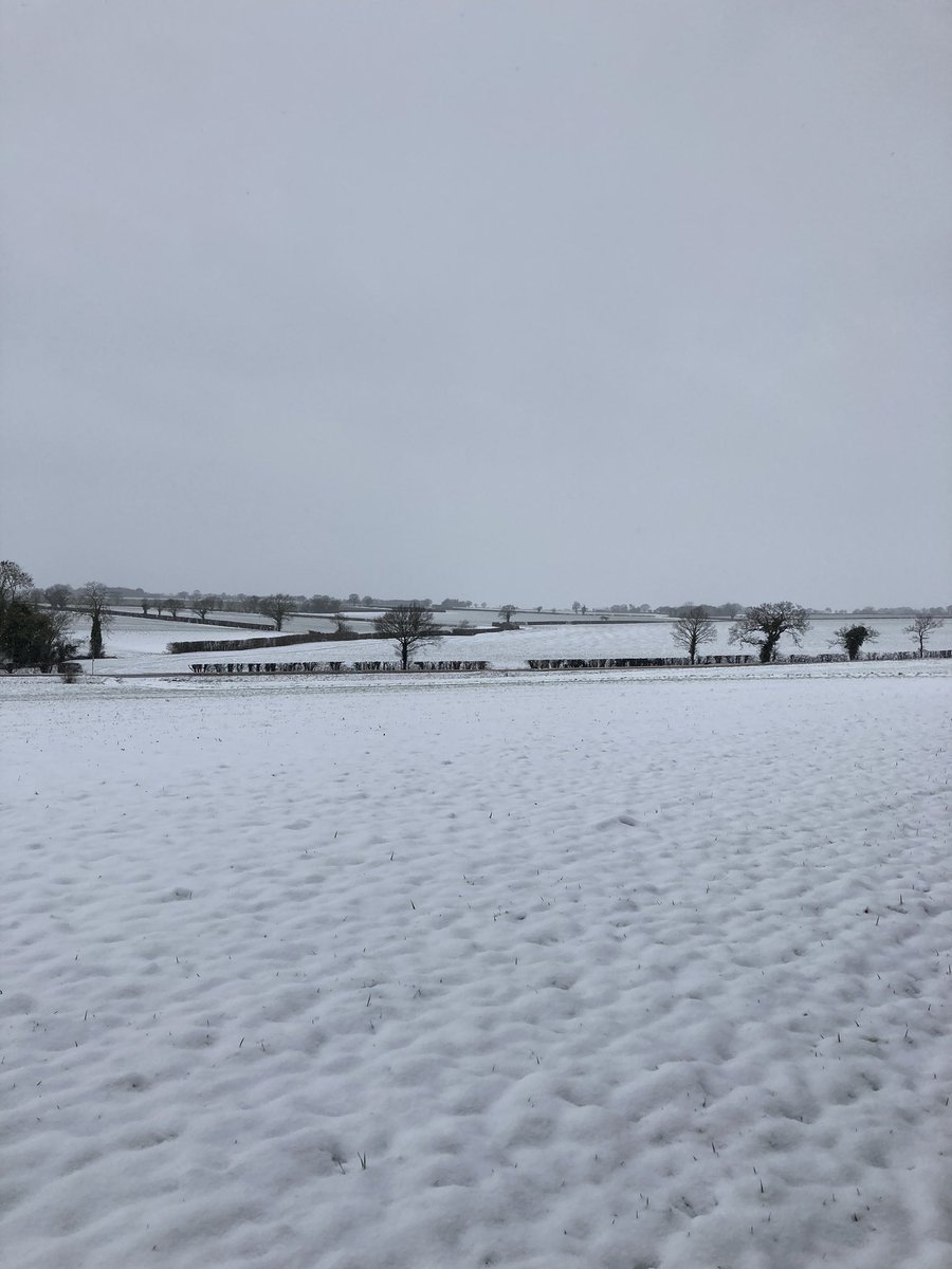 millarwest interiors tweet media