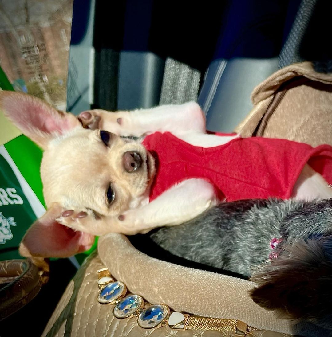 Is it a homeschool Monday????? Again?!