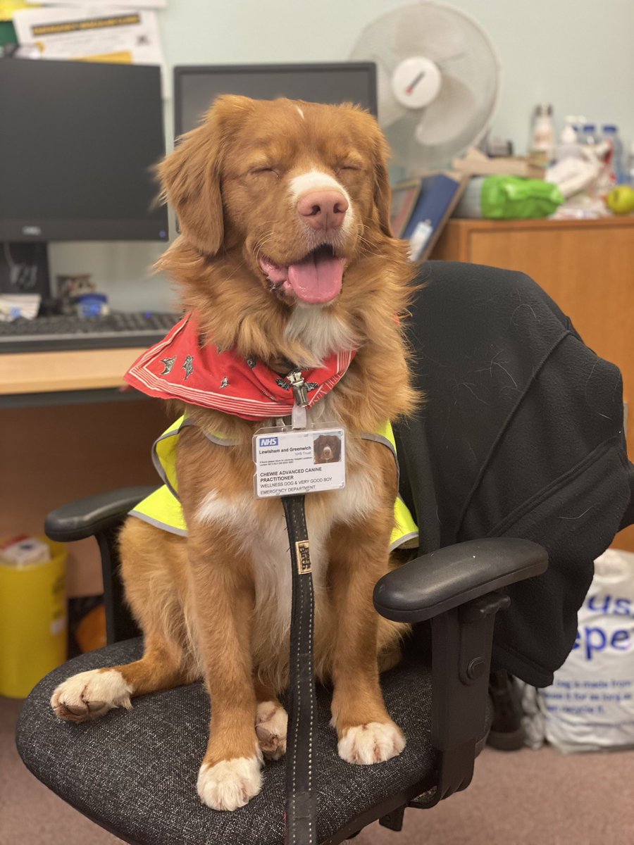 Anna Colclough tweet media