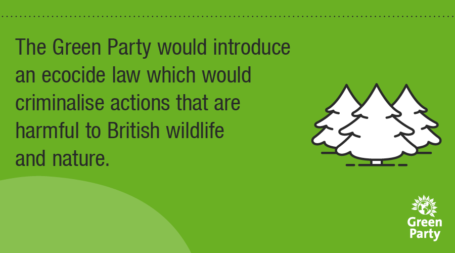 Now more than ever, we need to make actions harming nature a crime written into law.