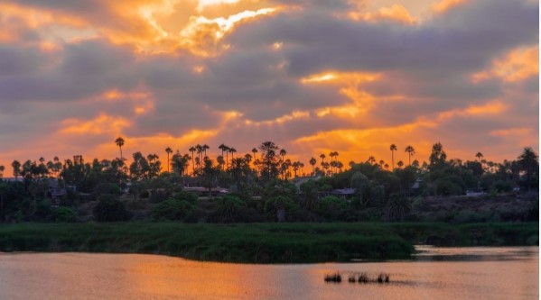 CarlsbadWP's tweet photo. Let's chat about the free WooCommerce plugin for WordPress. Developer Sean Conklin will do a presentation on the plugin then open to a Q&amp;A discussion to help the audience get the most out of their online store building efforts with WooCommerce.

https://t.co/HWXJIYNyit https://t.co/exFklKXLaY