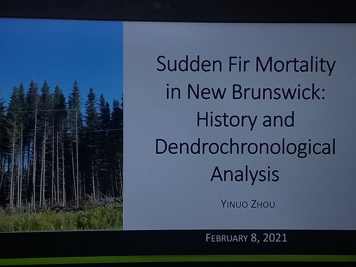 So excited to share that Yinuo successfully defended her MF research this morning, on #WhatsKillingFir in New Brunswick. Very proud of her presentation and success! Congratulations!! #MF #UNB #ForestHealth #Dendro 🌲💍