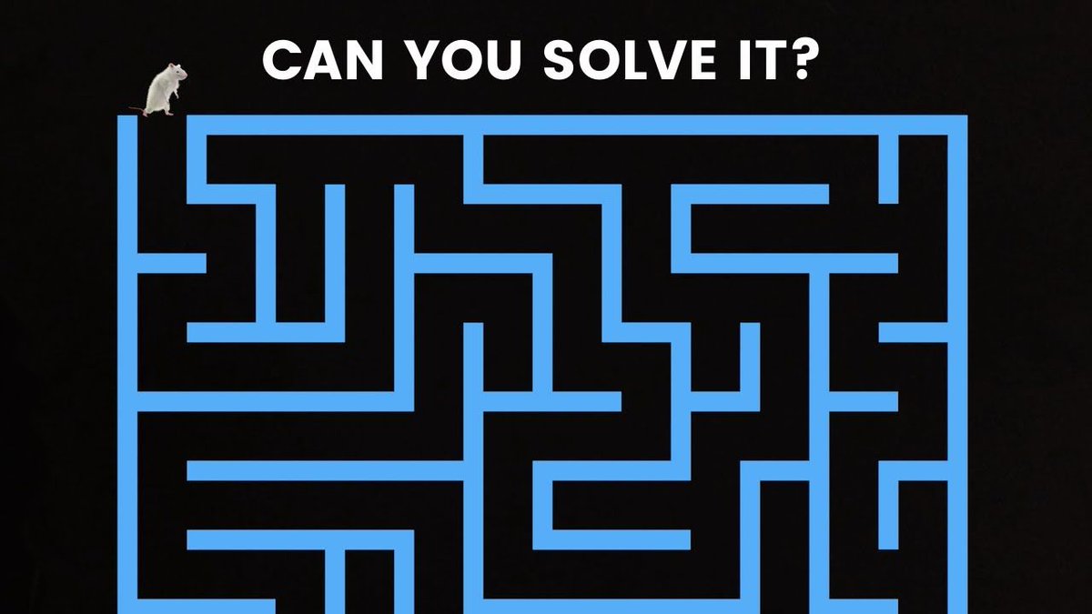 aescripts's tweet image. Can You Solve This Maze? Made with mazeFX by Mat O'Flynn aescripts.com/learn/can-you-…

#aescripts #aftereffects #mazefx