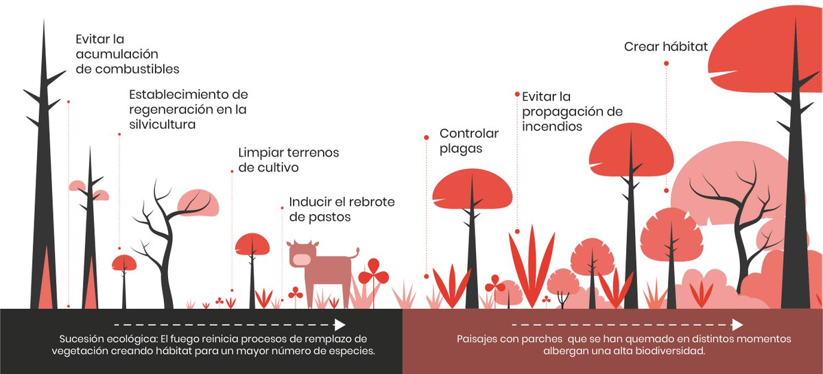 ¿Sabías que el fuego es de gran utilidad en diversas actividades productivas? Conoce más acerca del "Manual de prevención física de incendios forestales" que <a href="/aipromades/">Aipromades</a> y <a href="/SemadetJal/">SEMADET Jalisco</a>  preparamos para ti --&gt; shorturl.at/jzP01 #ManejoDelFuego
