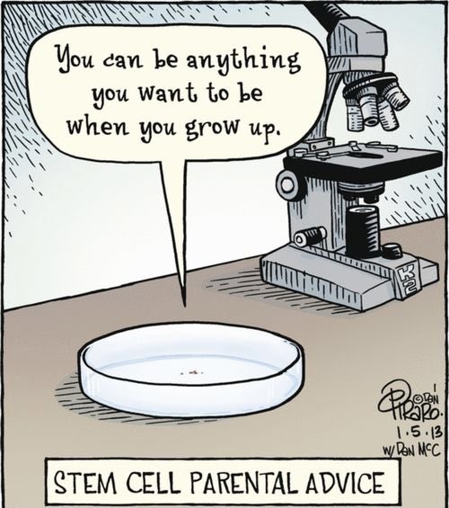 STEM cells be like ... 😂
