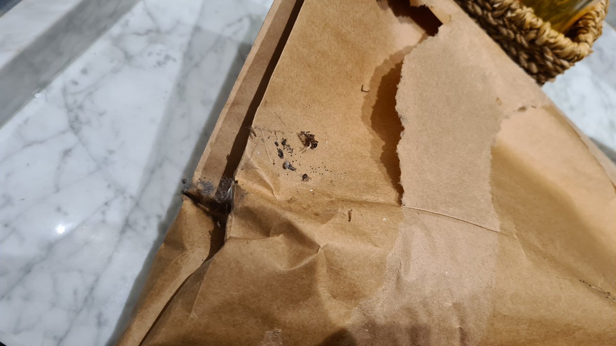 isaacmananes's tweet photo. @zarahome a vosotros os parece razonable que @MRW_clientes traiga HOY un pedido del
14 de mayo, COMIDO POR RATONES, por dentro y por fuera? https://t.co/veq0zdHxJN