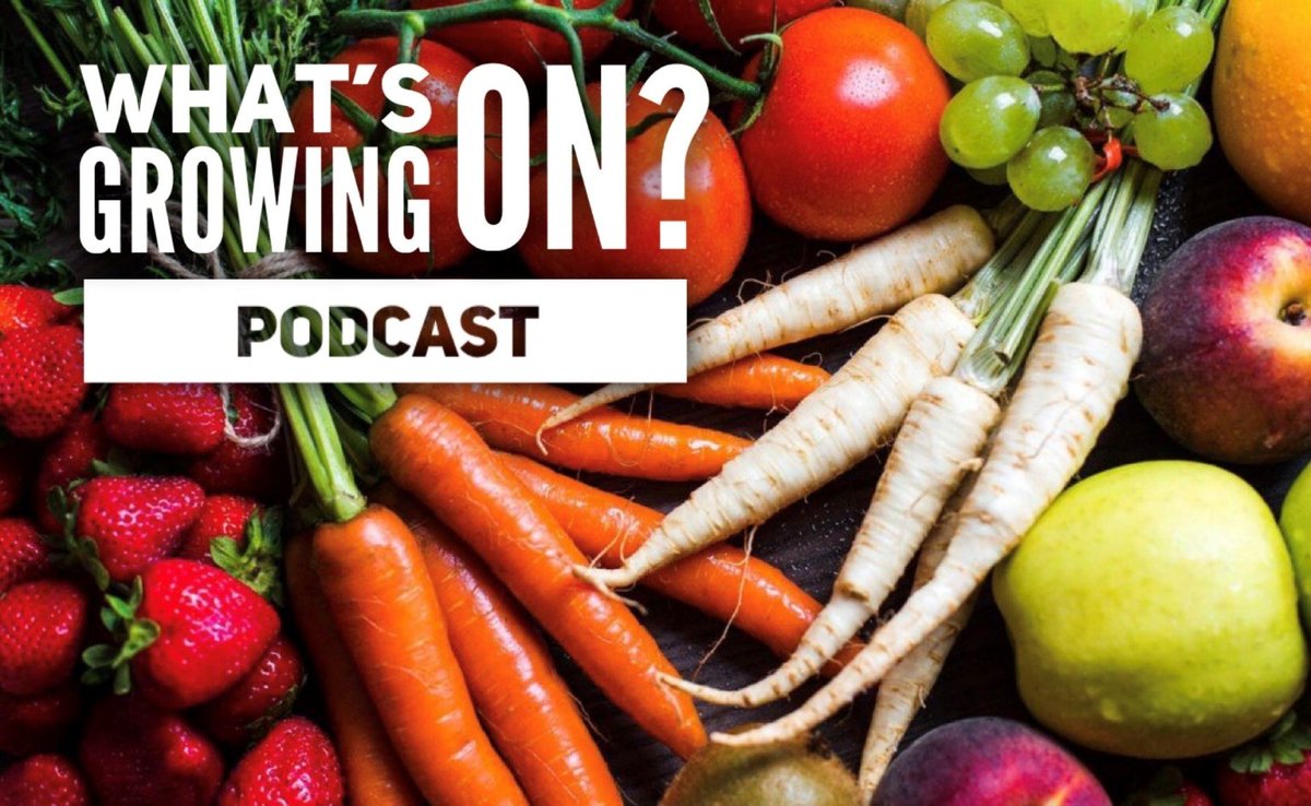 Meet two of the new faces to OMAFRA, Tree Fruit Specialist @erikadebrouwer and Maple, Tree Nut &amp; Agroforestry Specialist <a href="/jennyliu00/">Jenny Liu</a> in the latest episode of #WhatsGrowingON.

Listen to it on onfruit.ca/podcast/ or wherever you get your podcasts.

#OntAg #onfruit