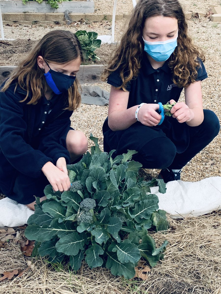 Amy Alsip tweet media