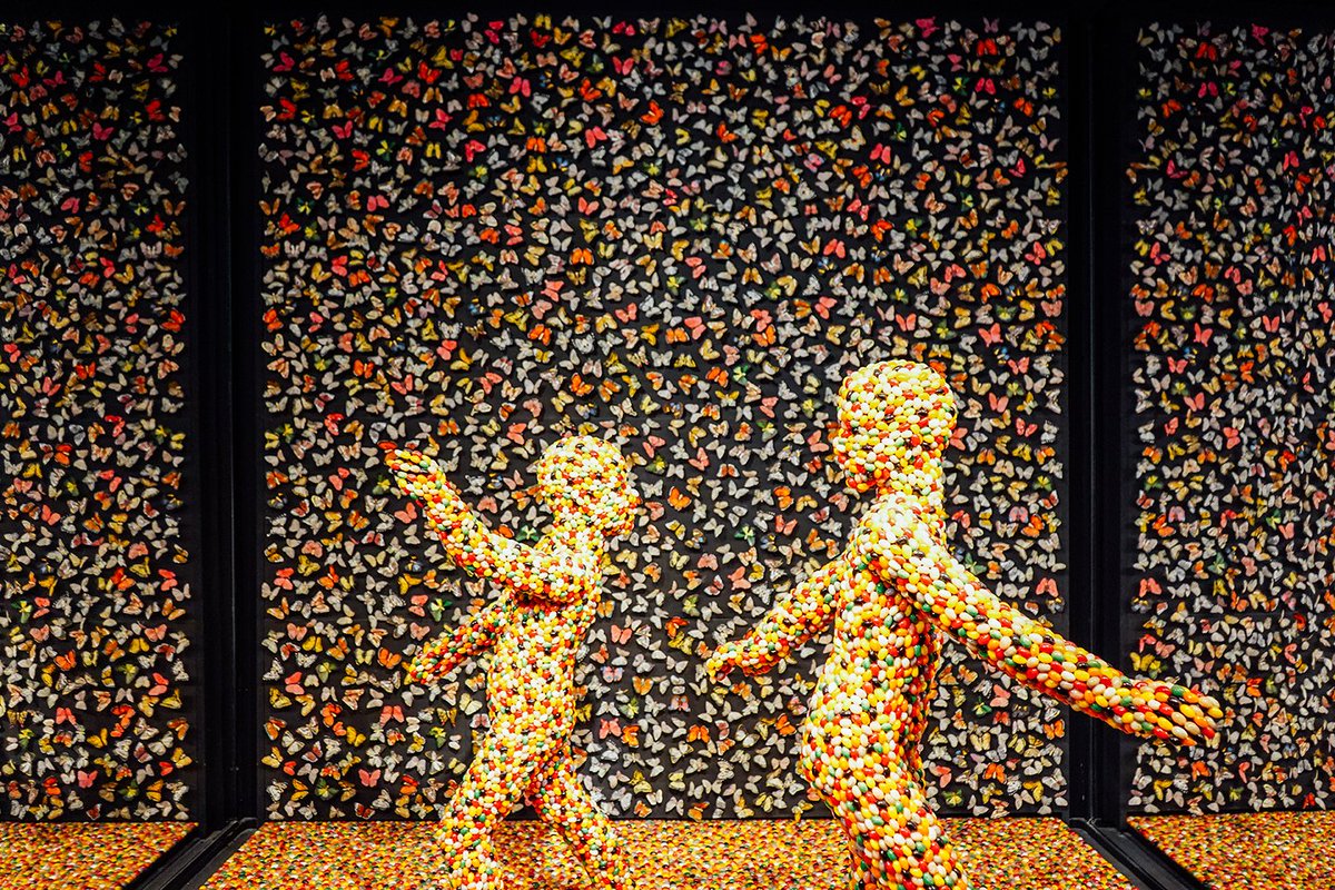 discoverPHL tweet media