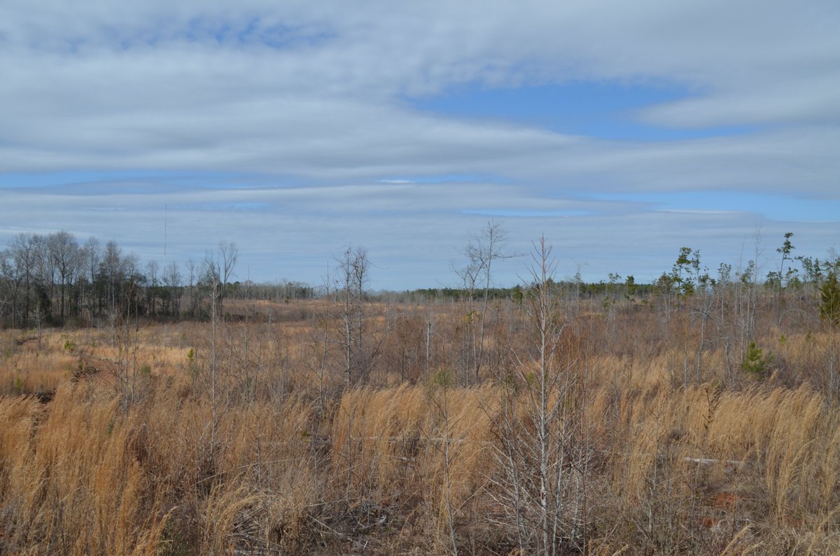 TrueSouthProp's tweet image. We have lots available in the Gold Hill area.  Just minutes from Auburn or Opelika.  truesouth.com/listings/gold-…