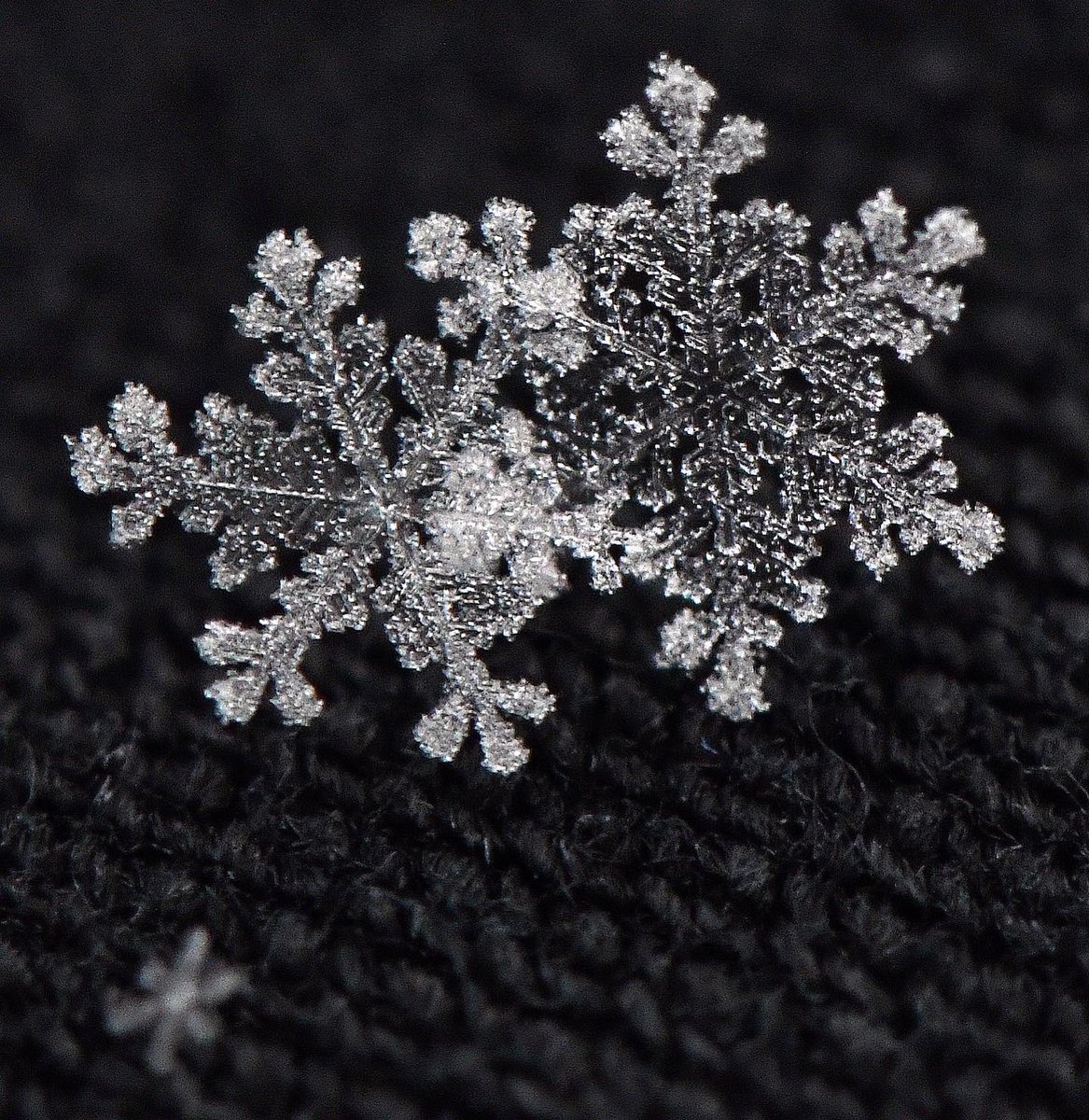 Snowflakes on my coat sleeve #snow #macrophotography